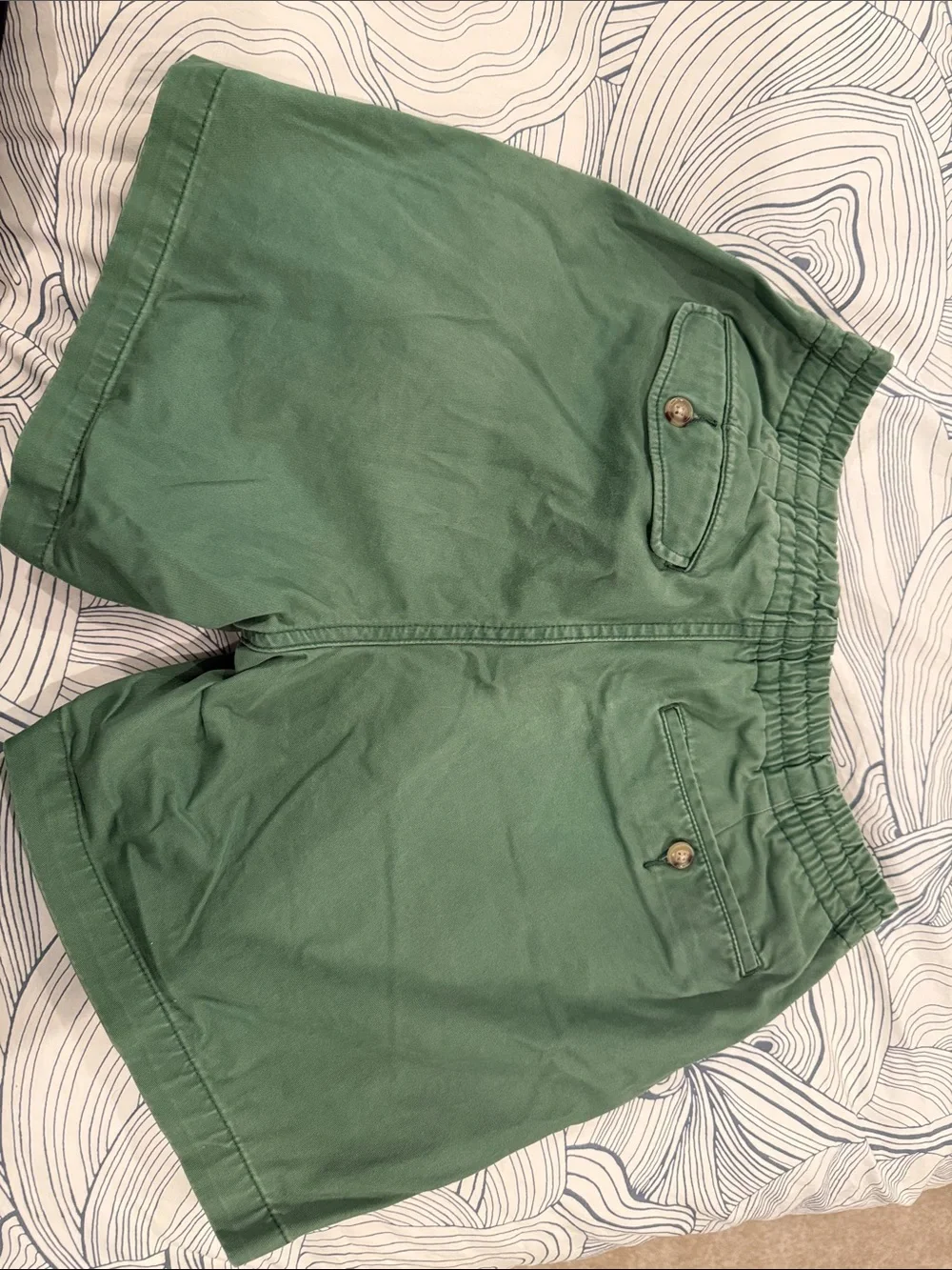 Polo by Ralph Lauren Green Cotton Flat Front Men's Shorts